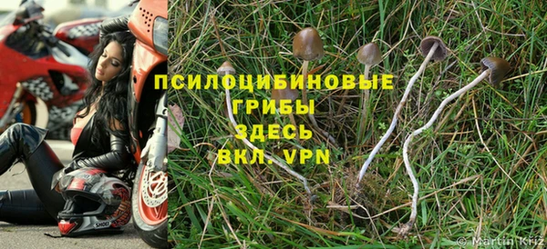 гидропоника Баксан