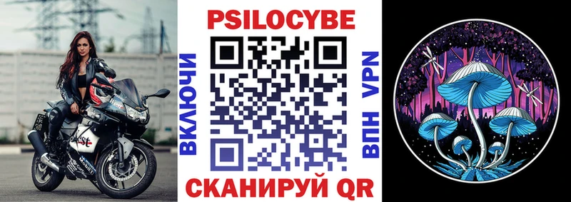 купить   Цоци-Юрт  гидра сайт  Псилоцибиновые грибы мухоморы 